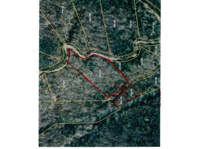 5 AC ON THE CUMBERLAND PLATEAU W/ FRONTAGE ON E. OBEY RIVER SOLD - photo 11