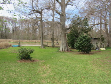 Great Family Camp - photo 2