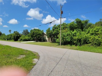 *SHOVEL READY!!!* OVERSIZED LOT .26 ACRE (11,206 SQ. FT.) - photo 8