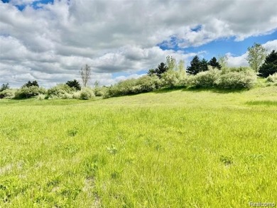 Welcome to one of Michigan's -  and Metamora's - premier golf