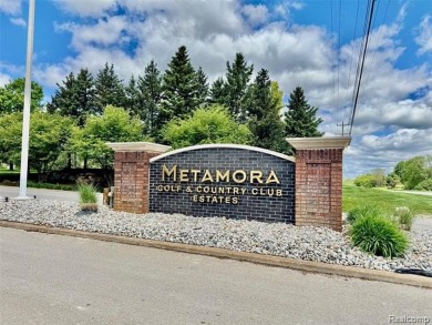 Welcome to one of Michigan's -  and Metamora's - premier golf