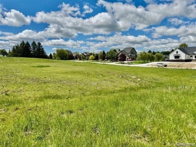 Welcome to one of Michigan's -  and Metamora's - premier golf