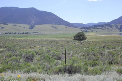 87 acres of pure bliss overlooking Eagle Nest Lake and - photo 11