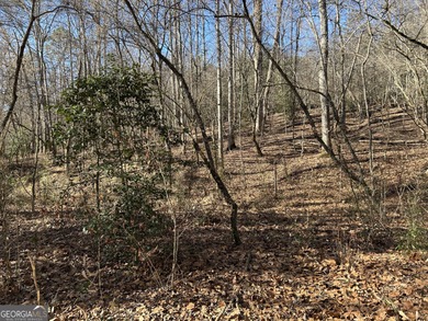 Premier 76 acre riverfront tract located at the rare confluence - photo 13
