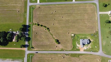 Rare opportunity to purchase 11 platted subdivision lots in the - photo 4