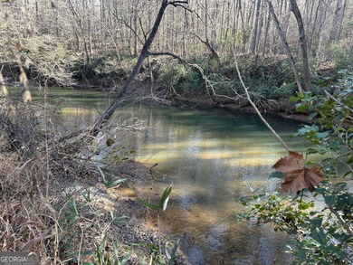 Premier 76 acre riverfront tract located at the rare confluence - photo 15