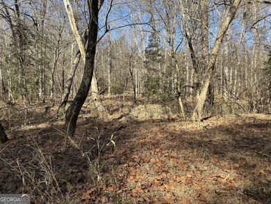 Premier 76 acre riverfront tract located at the rare confluence - photo 16