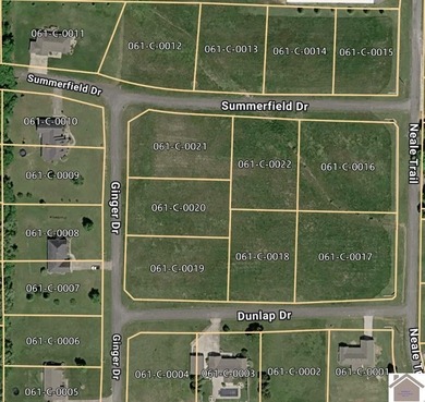 Rare opportunity to purchase 11 platted subdivision lots in the - photo 7