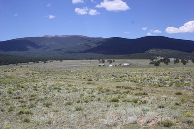 87 acres of pure bliss overlooking Eagle Nest Lake and - photo 18