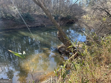 Premier 76 acre riverfront tract located at the rare confluence - photo 19