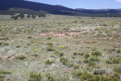 87 acres of pure bliss overlooking Eagle Nest Lake and - photo 19