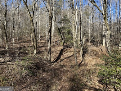 Premier 76 acre riverfront tract located at the rare confluence - photo 20