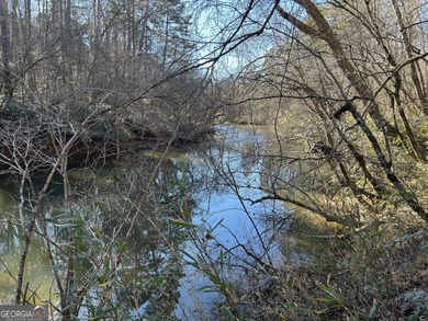 Premier 76 acre riverfront tract located at the rare confluence - photo 21