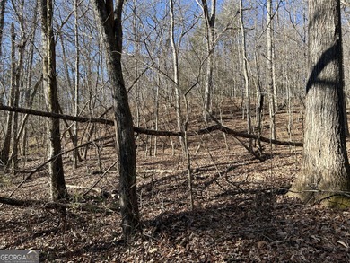 Premier 76 acre riverfront tract located at the rare confluence - photo 22