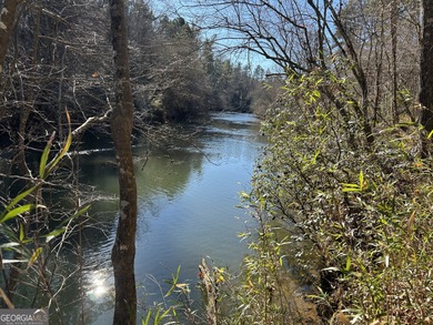 Premier 76 acre riverfront tract located at the rare confluence - photo 23