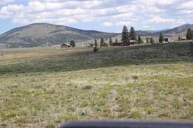 87 acres of pure bliss overlooking Eagle Nest Lake and - photo 23