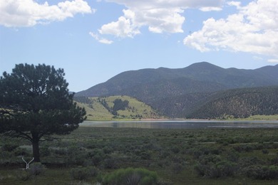 87 acres of pure bliss overlooking Eagle Nest Lake and - photo 27