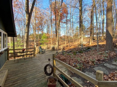 Awesome Views, Cozy Cabin, Resort Life, and Just a Course Above! - Lake Home For Sale in Hideaway Hills, Ohio