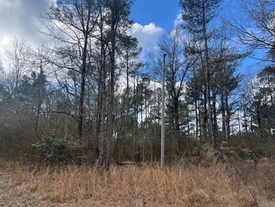 Discover the perfect mix of opportunity and nature with this - photo 3