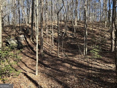 Premier 76 acre riverfront tract located at the rare confluence - photo 39