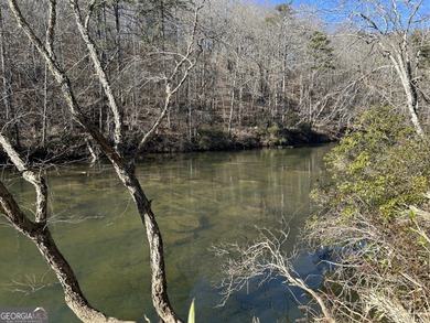 Premier 76 acre riverfront tract located at the rare confluence - photo 43