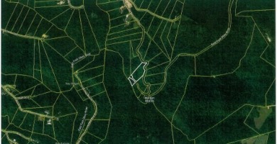 5 AC ON THE CUMBERLAND PLATEAU W/ FRONTAGE ON E. OBEY RIVER SOLD - photo 13