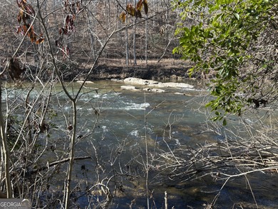 Premier 76 acre riverfront tract located at the rare confluence - photo 46