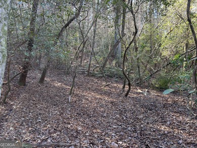 Premier 76 acre riverfront tract located at the rare confluence - photo 50