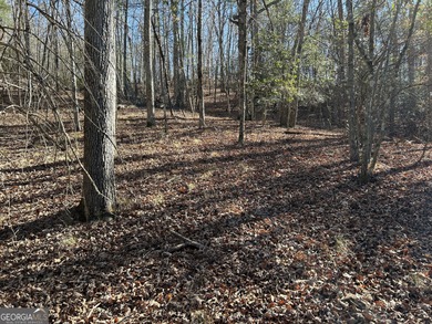 Premier 76 acre riverfront tract located at the rare confluence - photo 55