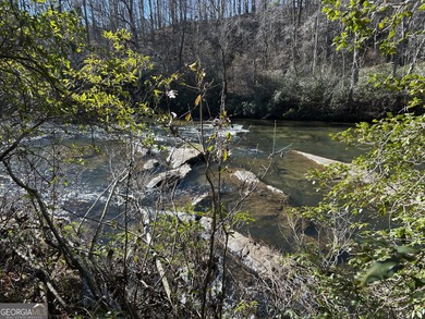 Premier 76 acre riverfront tract located at the rare confluence - photo 58