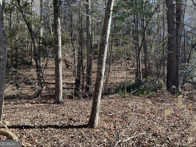 Premier 76 acre riverfront tract located at the rare confluence - photo 60