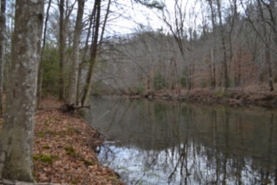 5 AC ON THE CUMBERLAND PLATEAU W/ FRONTAGE ON E. OBEY RIVER SOLD - photo 7