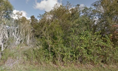 Lehigh Acres Area Lot For Sale in Lehigh Acres Florida
