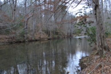 5 AC ON THE CUMBERLAND PLATEAU W/ FRONTAGE ON E. OBEY RIVER SOLD - photo 4