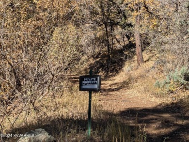 Lake Lot For Sale in Stoneman Lake, Arizona