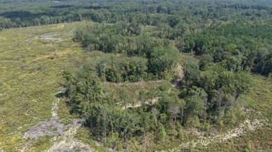 (private lake, pond, creek) Acreage For Sale in Horatio Arkansas