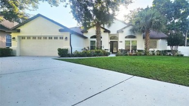 Big Sand Lake Home Sale Pending in Orlando Florida