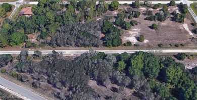 Lehigh Acres Area Lot For Sale in Lehigh Acres Florida