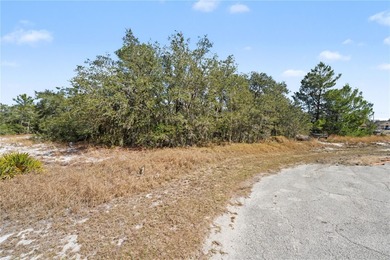 VACANT RESIDENTIAL LOT FOR SALE!!

Build your dream home in - photo 4