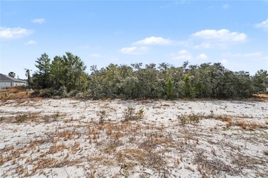 VACANT RESIDENTIAL LOT FOR SALE!!

Build your dream home in - photo 5