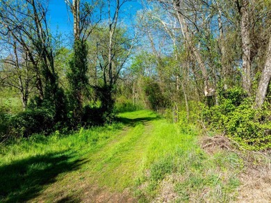 If you've been searching for usable land on the Spring River - photo 11