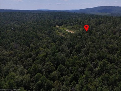 Enjoy secluded mountain views with a pond on this beautiful 16 - photo 11