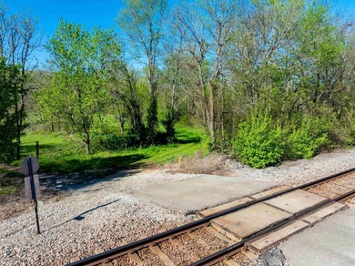 If you've been searching for usable land on the Spring River - photo 12