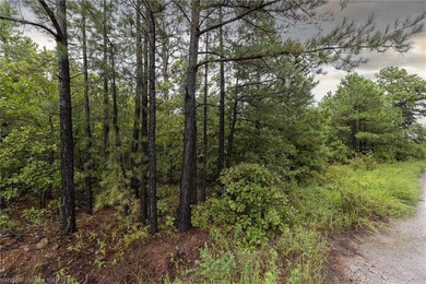 Enjoy secluded mountain views with a pond on this beautiful 16 - photo 12