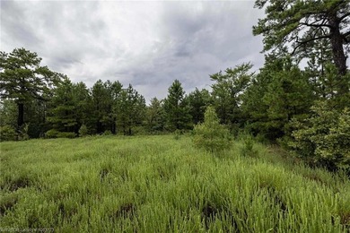 Enjoy secluded mountain views with a pond on this beautiful 16 - photo 13