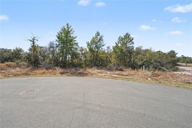 VACANT RESIDENTIAL LOT FOR SALE !!!

Build your dream home in - photo 3