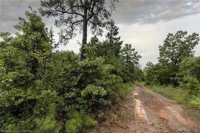 Enjoy secluded mountain views with a pond on this beautiful 16 - photo 14