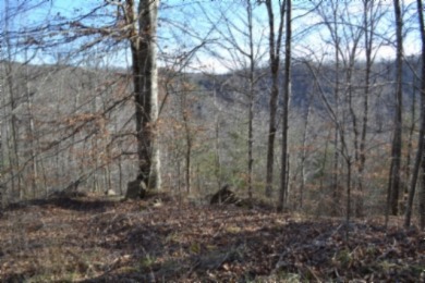 5 AC ON THE CUMBERLAND PLATEAU W/ FRONTAGE ON E. OBEY RIVER SOLD - photo 5