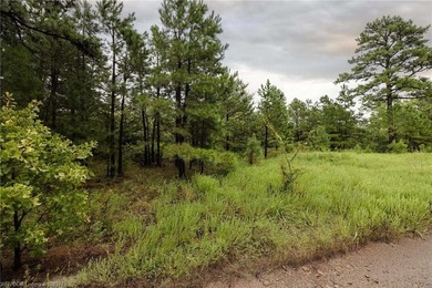 Enjoy secluded mountain views with a pond on this beautiful 16 - photo 15