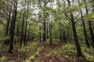 Enjoy secluded mountain views with a pond on this beautiful 16 - photo 16